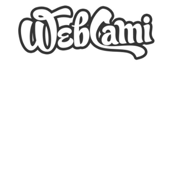 West Seattle Web Design by Cami MacNamara