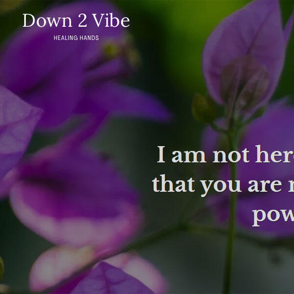 Down 2 Vibe website by WebCami