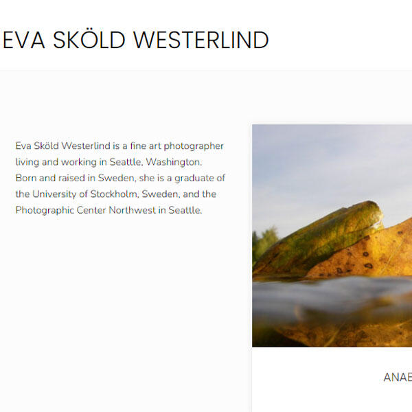 Eva Sköld Westerlind website by WebCami