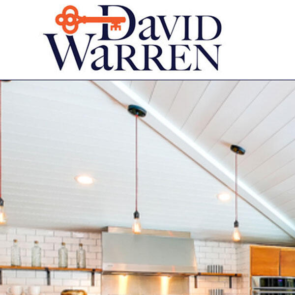 David Warren Realtor website by WebCami