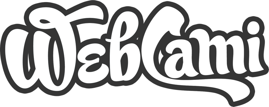 WebCami LLC Logo